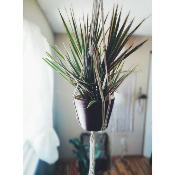 Macrame Plant Hanger Hanging Planter - Picture 1 of 3